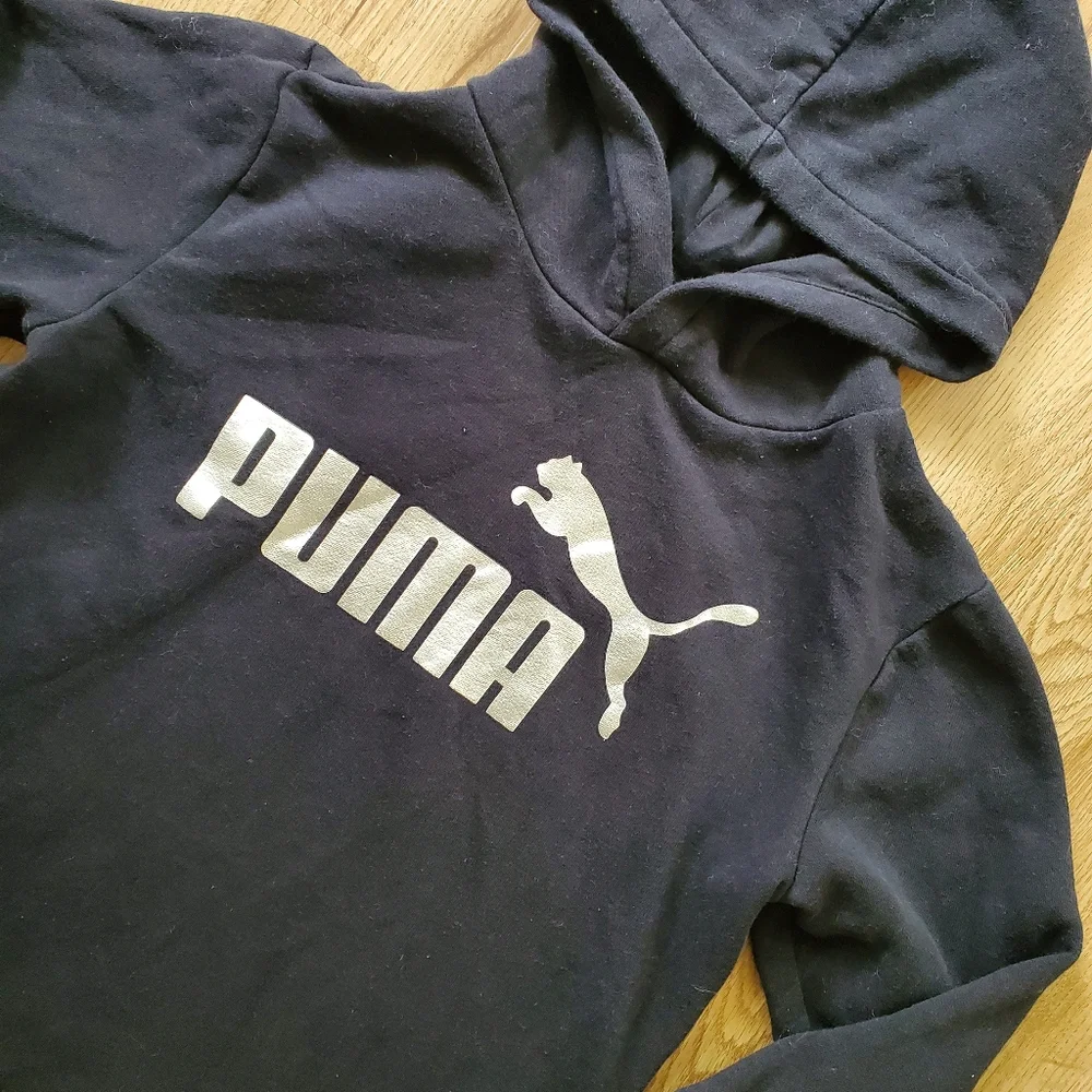 Puma hoodie SKU976